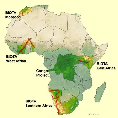 Figure S4.1. Regions and transects monitored in BIOTA-AFRICA, ©German Remote Sensing Data Center (DFC), German Aerospace Center (DLR).