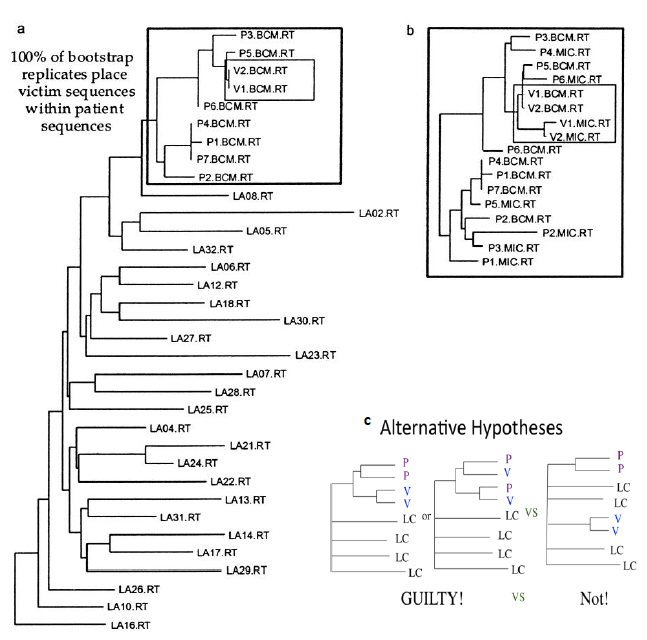 Figure S15.1. Alternative hypotheses based on a priori phylogenetic predictions if the HIV population from the victim was associated with the patients of the accused physician or not with the resulting conclusions. If the Patient (P) and Victim (V) sequences cluster together before any local controls (LC), then the conclusion is guilty, but if LC are between V and P, then the conclusion is not guilty (c, ©Crandall) and the resulting phylogeny from the actual data collected in the case showing the HIV isolated from the victim (Vx) was distinct from local controls (labelled LAxx) (a) and indeed associated with patients (Px) of the physician (b) (from Metzker et al. 2002, ©2002 National Academy of Sciences, USA).