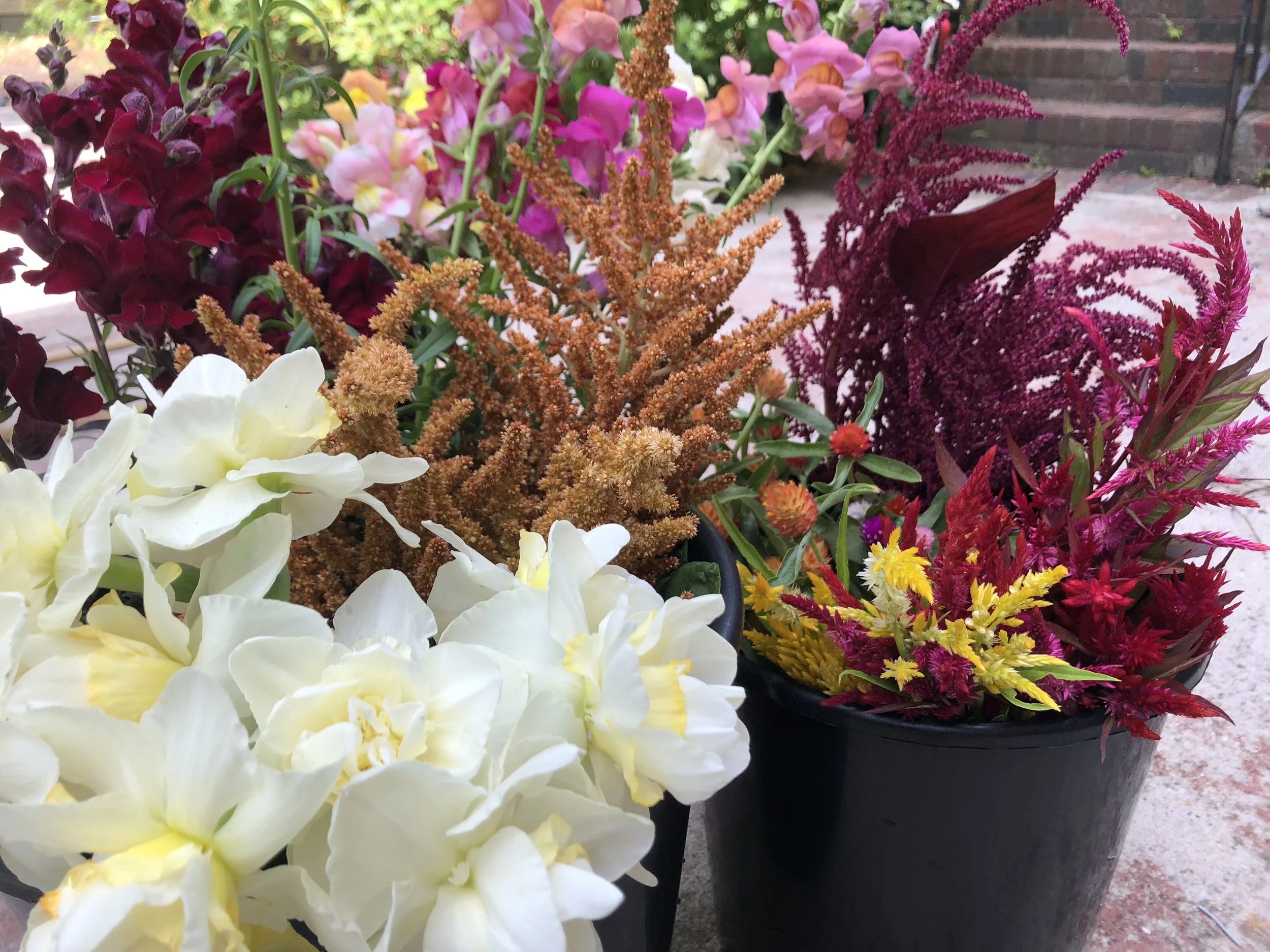 buckets of flowers.jpg
