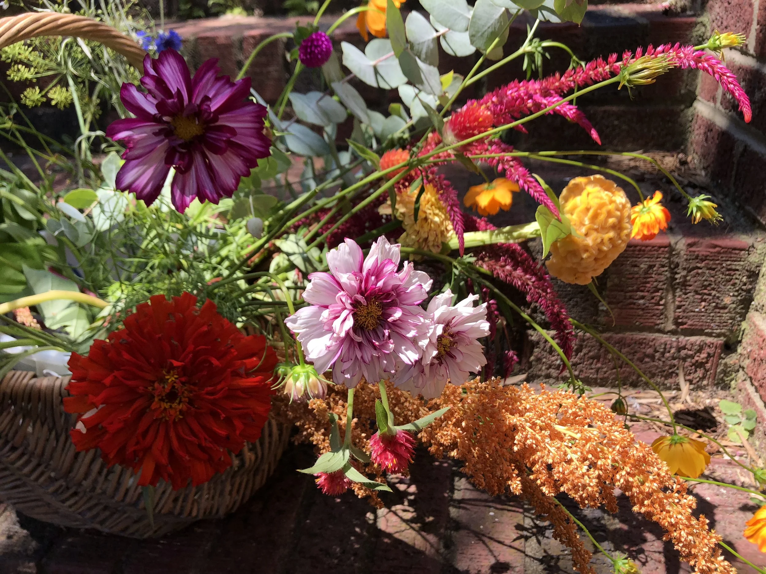 basket close up.jpg