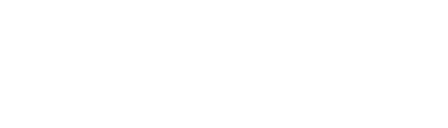 Paul Singer MD