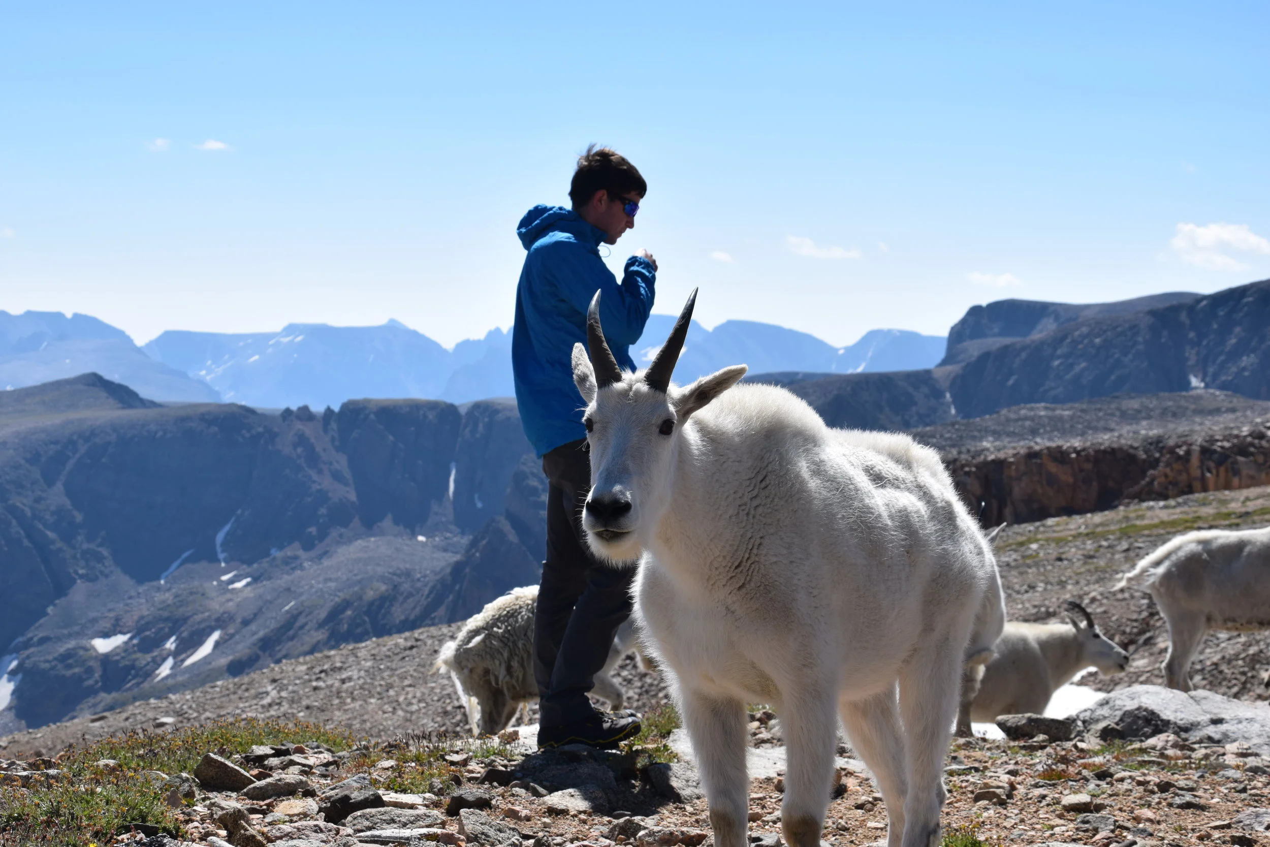 DSC_0674.JPG