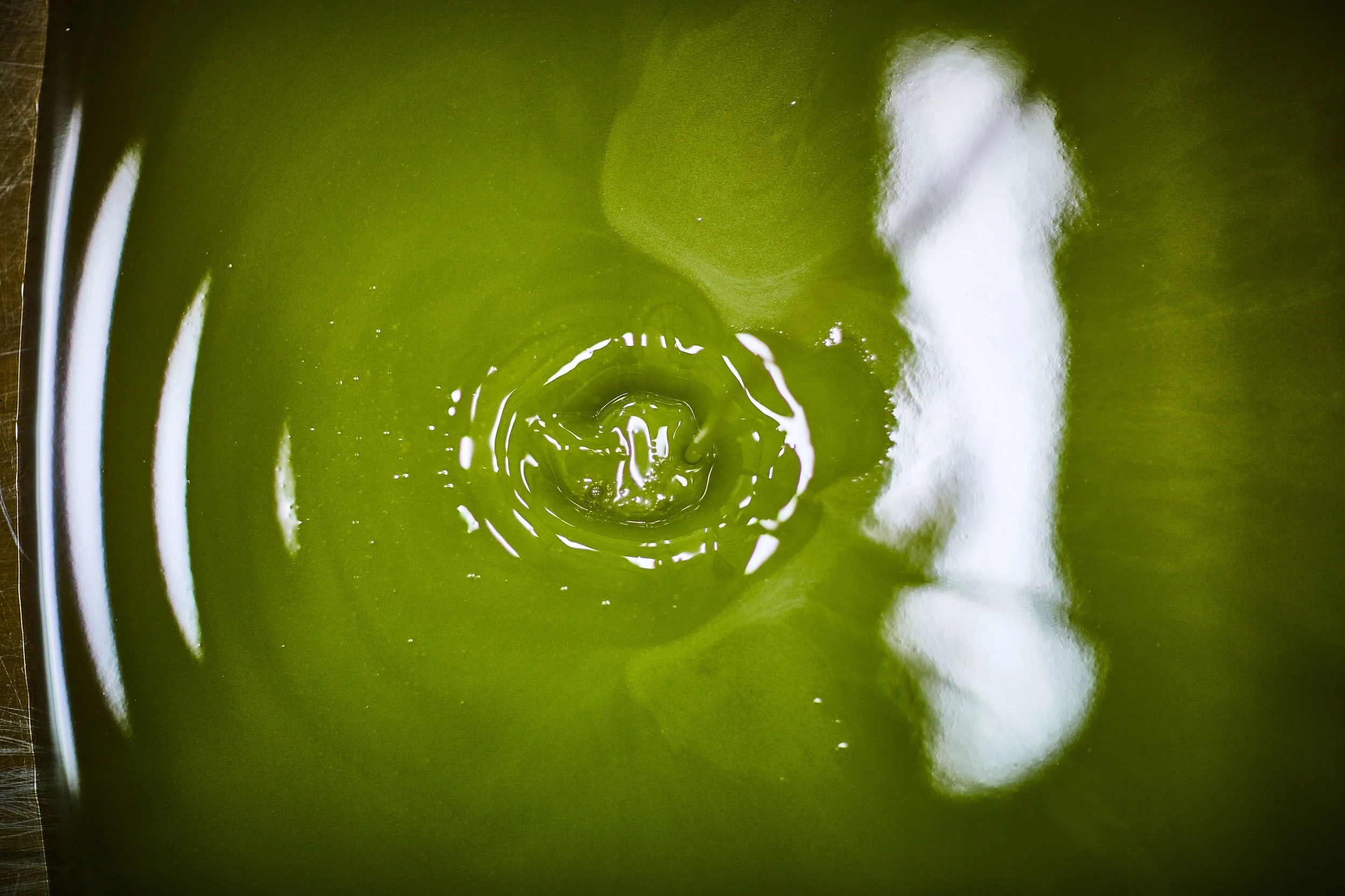201611_jc_1592.jpg