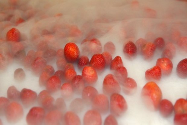flash strawberries.jpg
