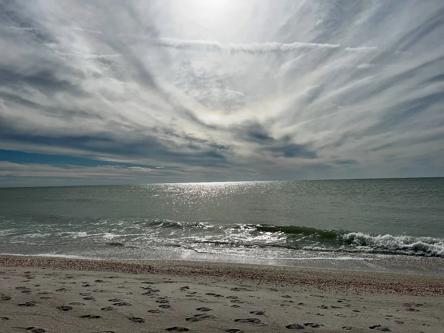 A beautiful day out on the water! 🐚🤍