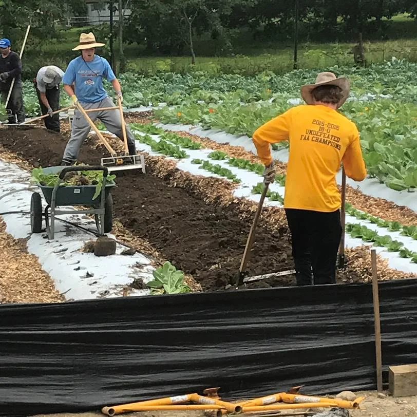 Work — Versailles Farms