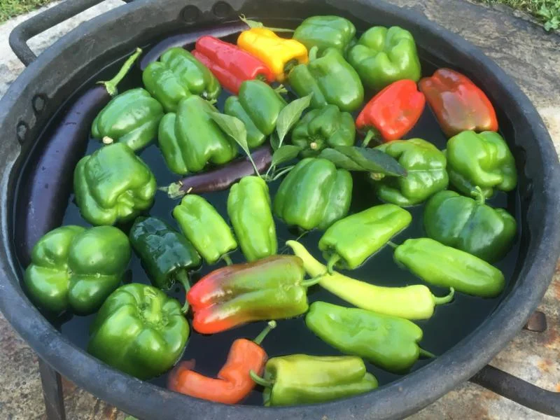 2016-8-13 _1_.jpg