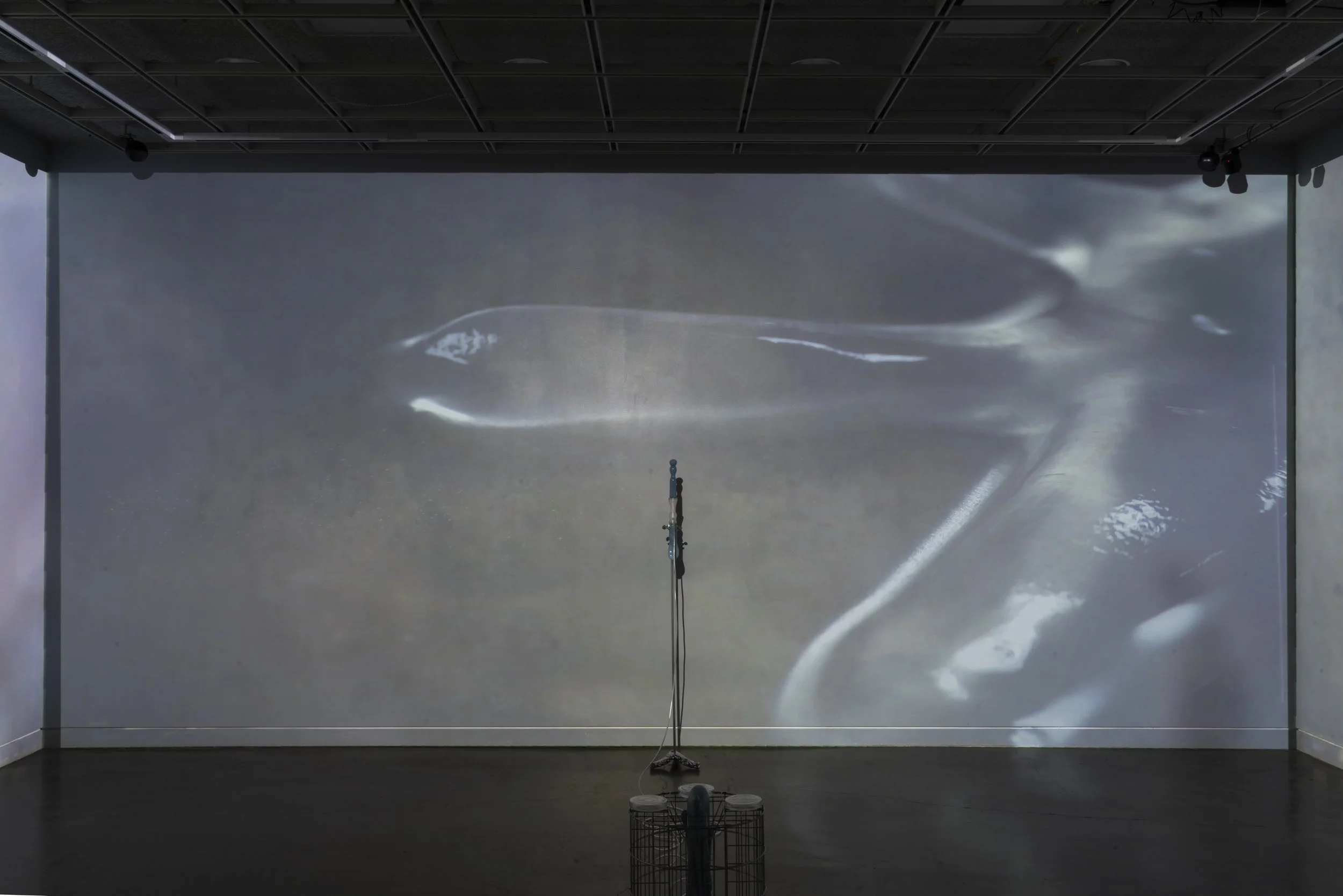 Completed Documentation (22 of 31).jpg