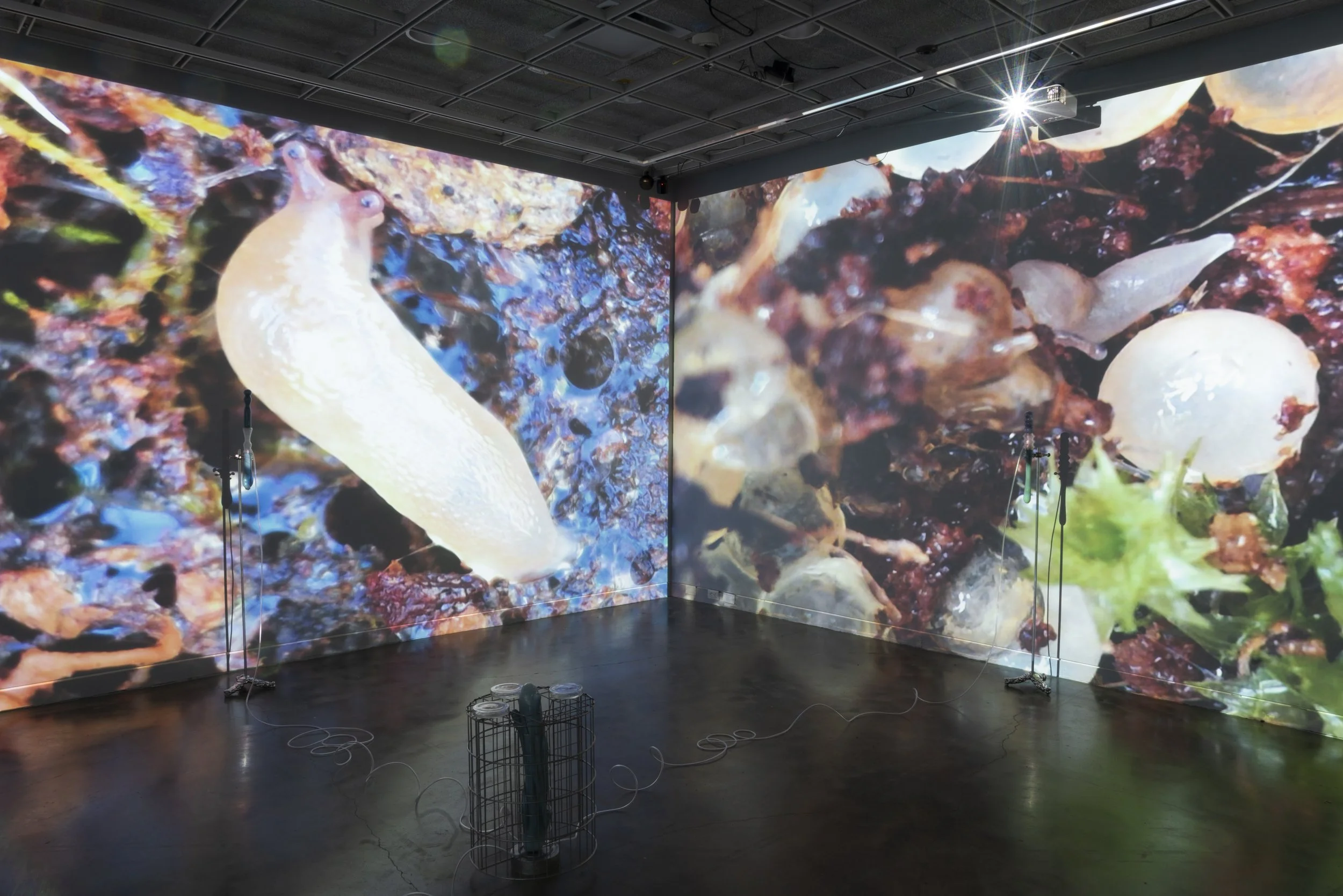 Completed Documentation (25 of 31).jpg