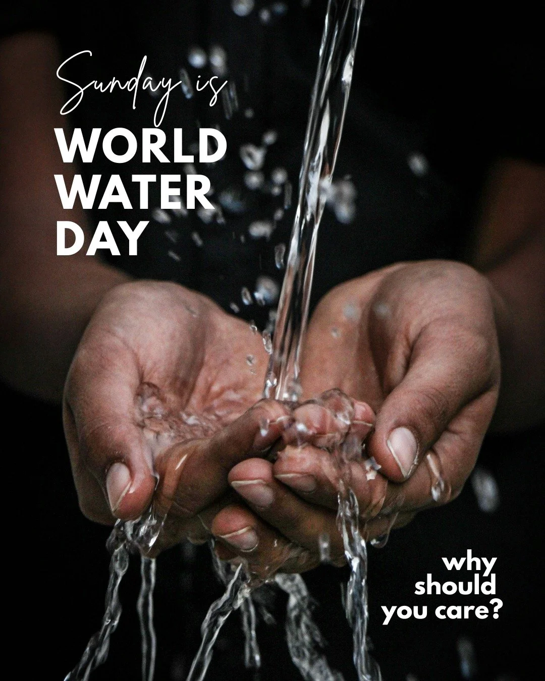 Read the full post at the blog link in our bio for more ideas, and spend a moment each day this week to be aware of your water usage and how you can make changes to your habits. 

#WorldWaterDay