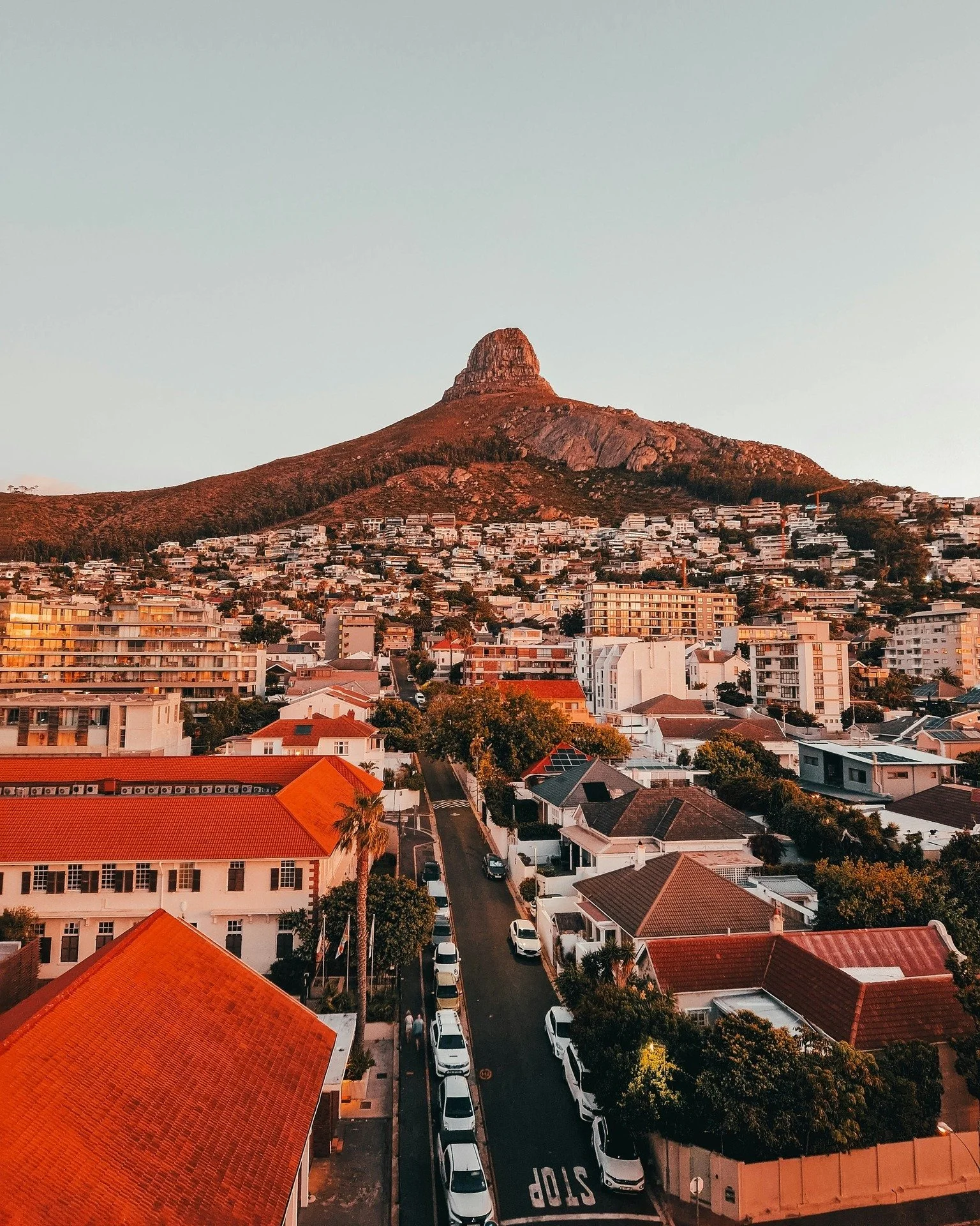 The deadline to join us and St. Stephen's University in South Africa this summer is MARCH 10. 

Journey alongside fellow theologians and peacemakers while learning from community organisers, scholar activists, historians, peace &amp; justice practiti