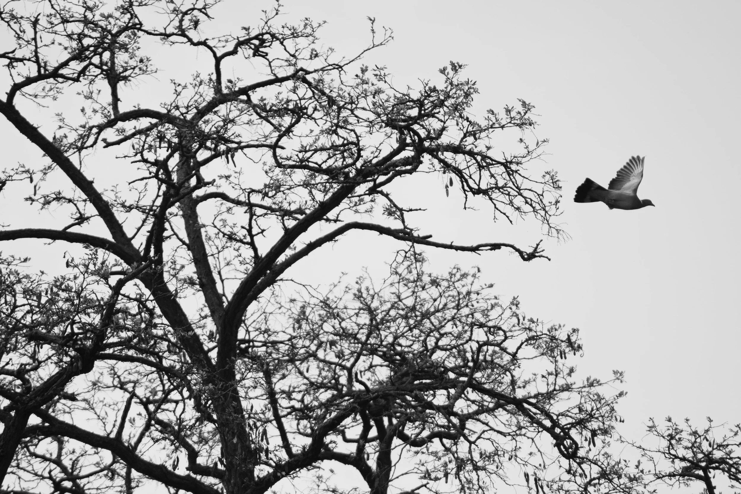 Trauma-Informed Forgiveness: Liberating the Oppressed, Reclaiming Agency, &amp; Breaking the Cycle of Harm