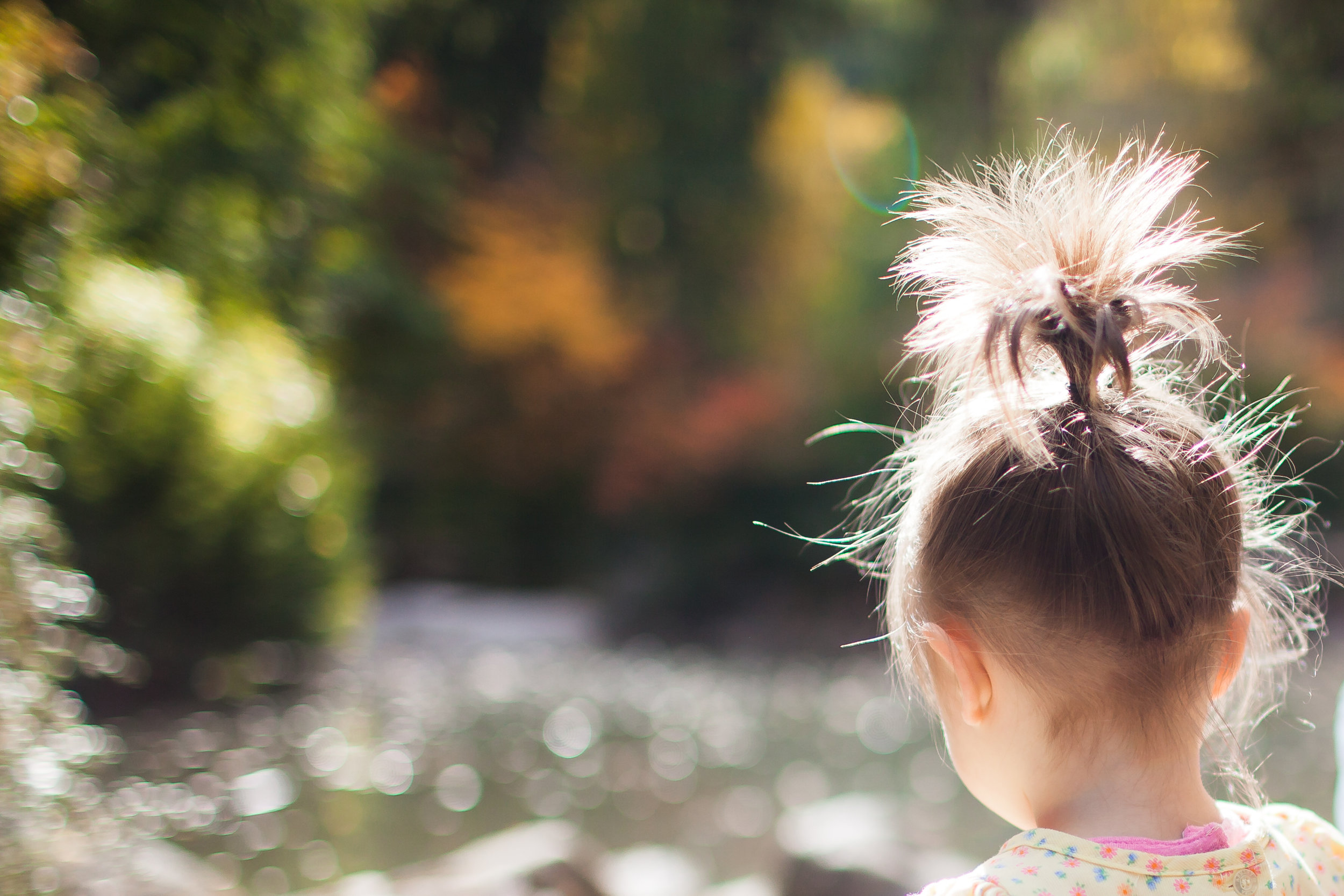 cute ponytail in lithia park