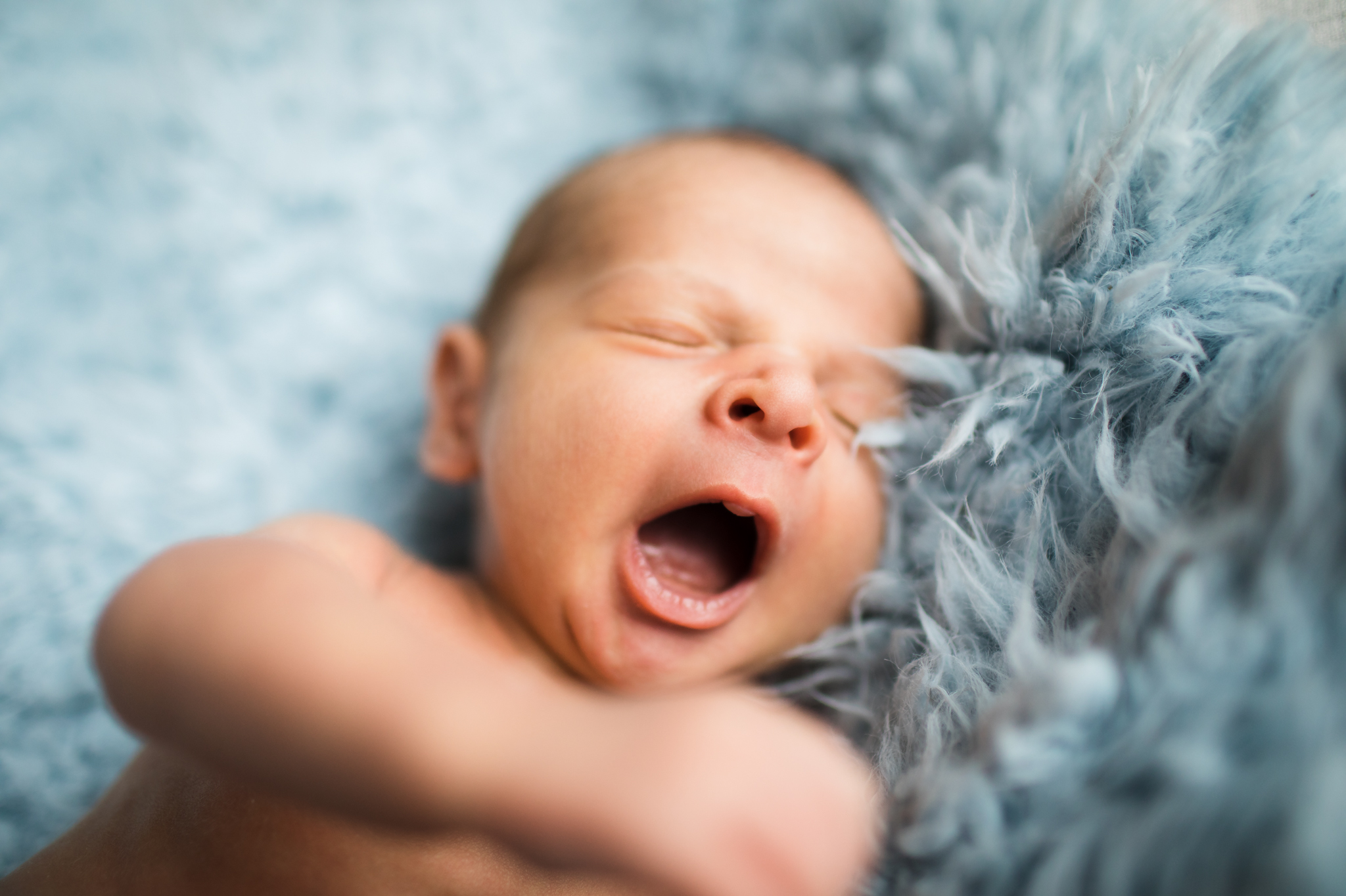 newborn yawns in southern oregon