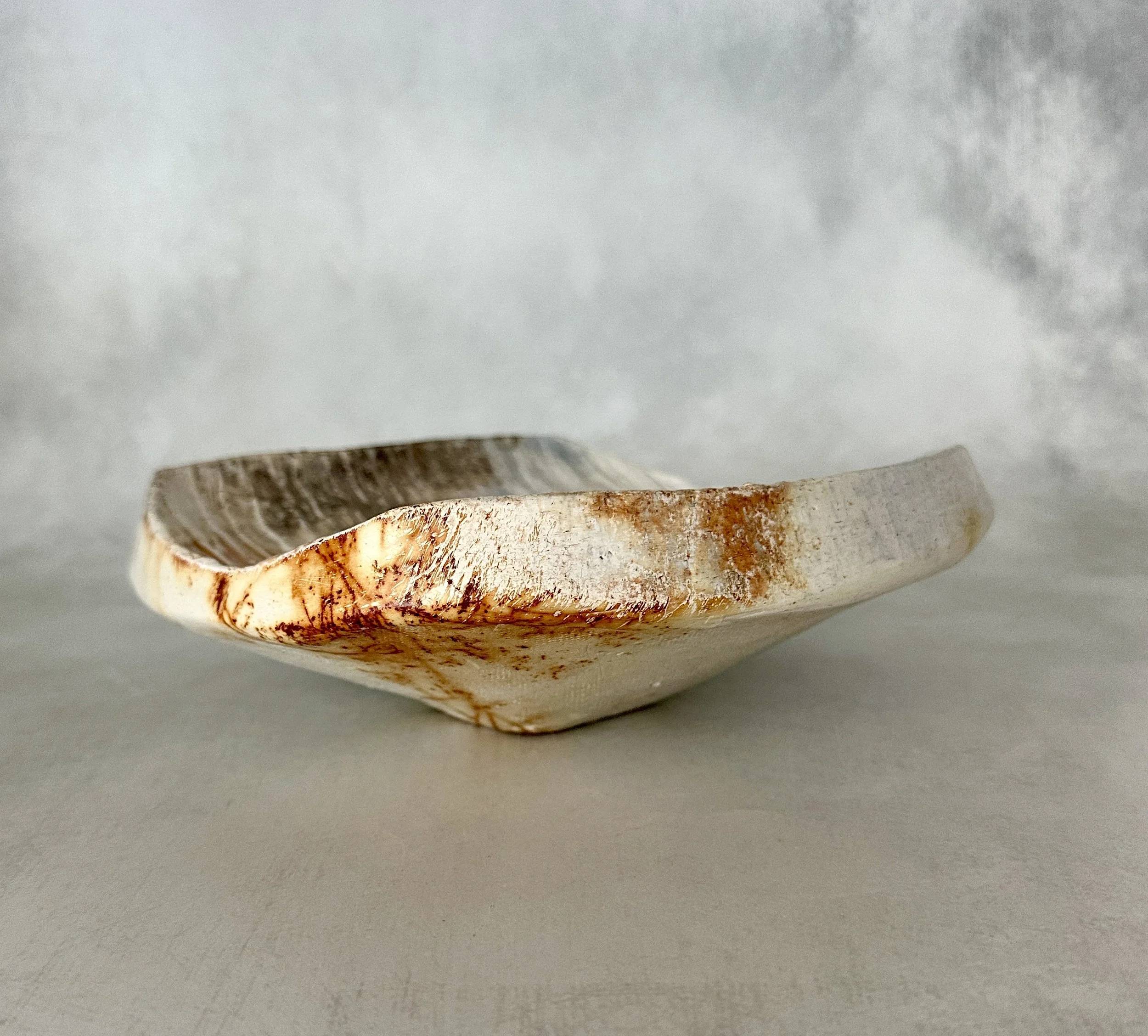 Petrified Drift.jpeg