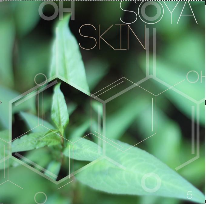 Soya Skin (Copy)