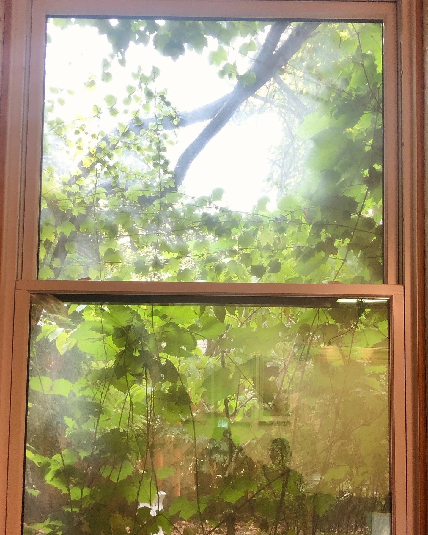 I couldn&rsquo;t refrain from taking these photos while in an official client meeting&hellip; after asking permission of course!
#rarespots #heritage #toronto #authenticity #value #office #withcharm