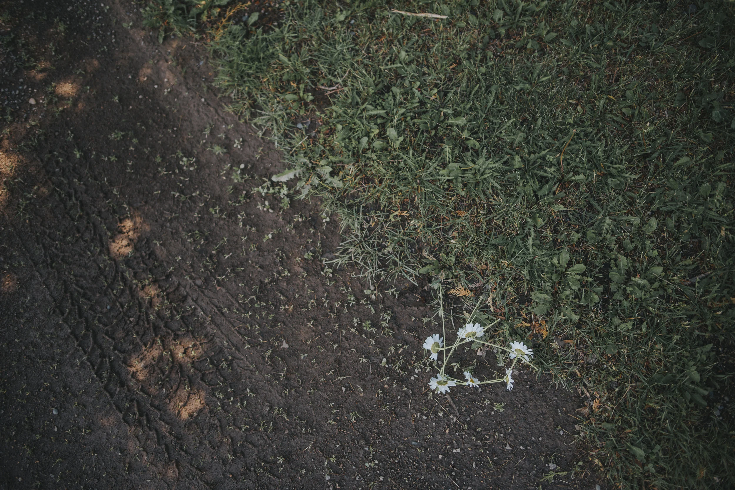 29236367658_5f4a94e4d5_o.jpg