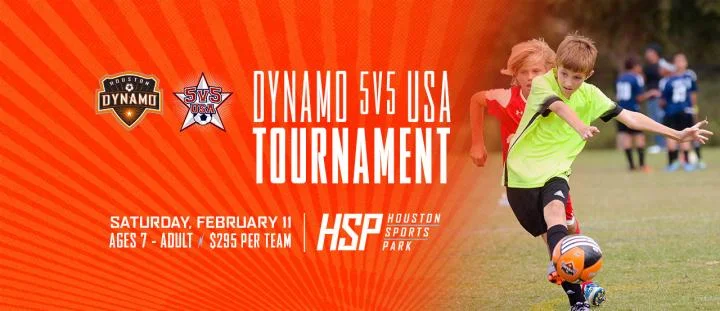 BSYSC-DYNAMO CONNECTION