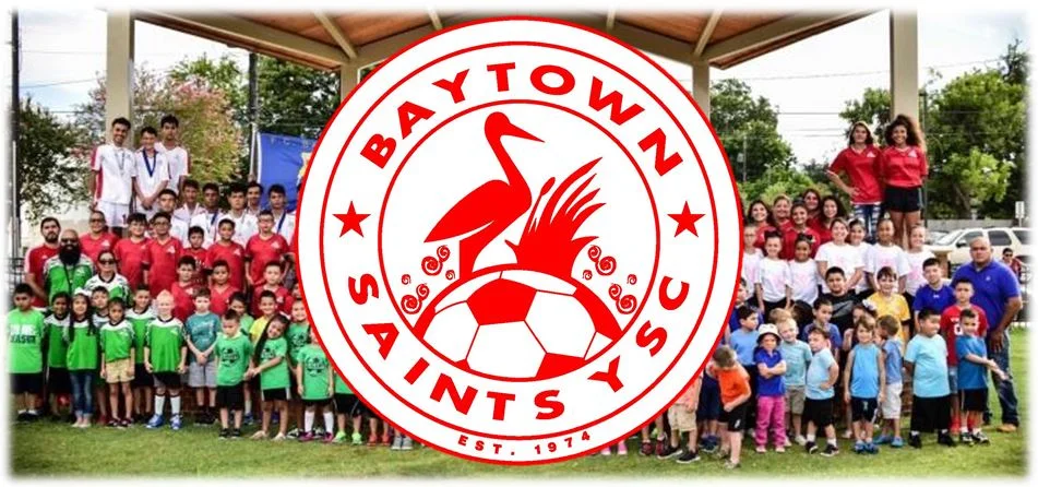 BSYSC - FIELD ALLOCATION MANAGER