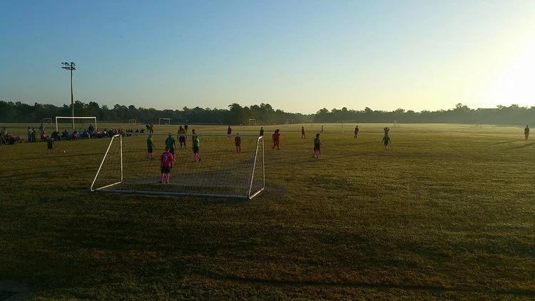 FIELD ALLOCATION - 02/27/17