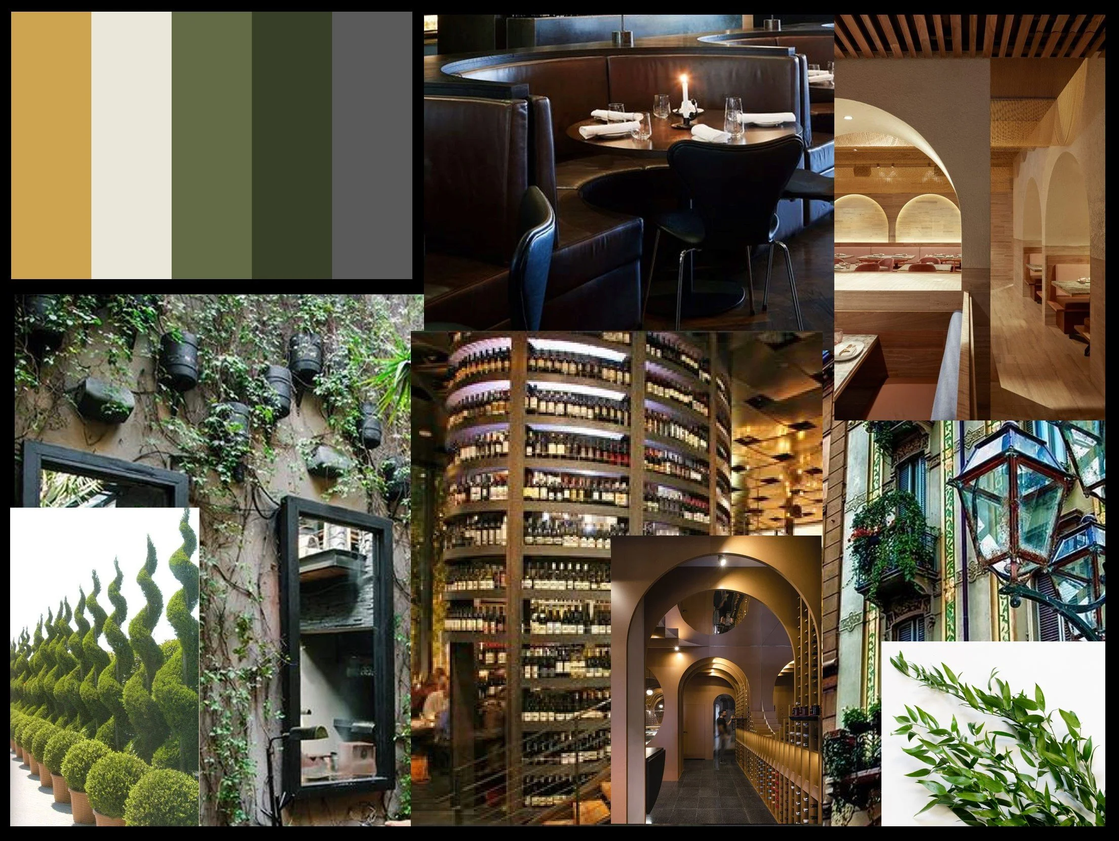 Research Imagery.jpg