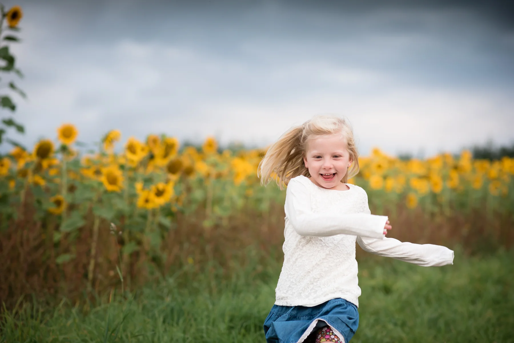 sunflower-5.jpg