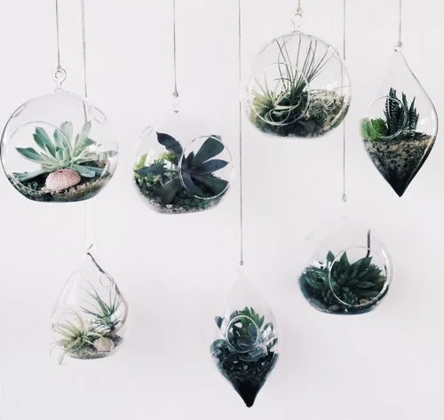 Holiday Gift Guide 2017