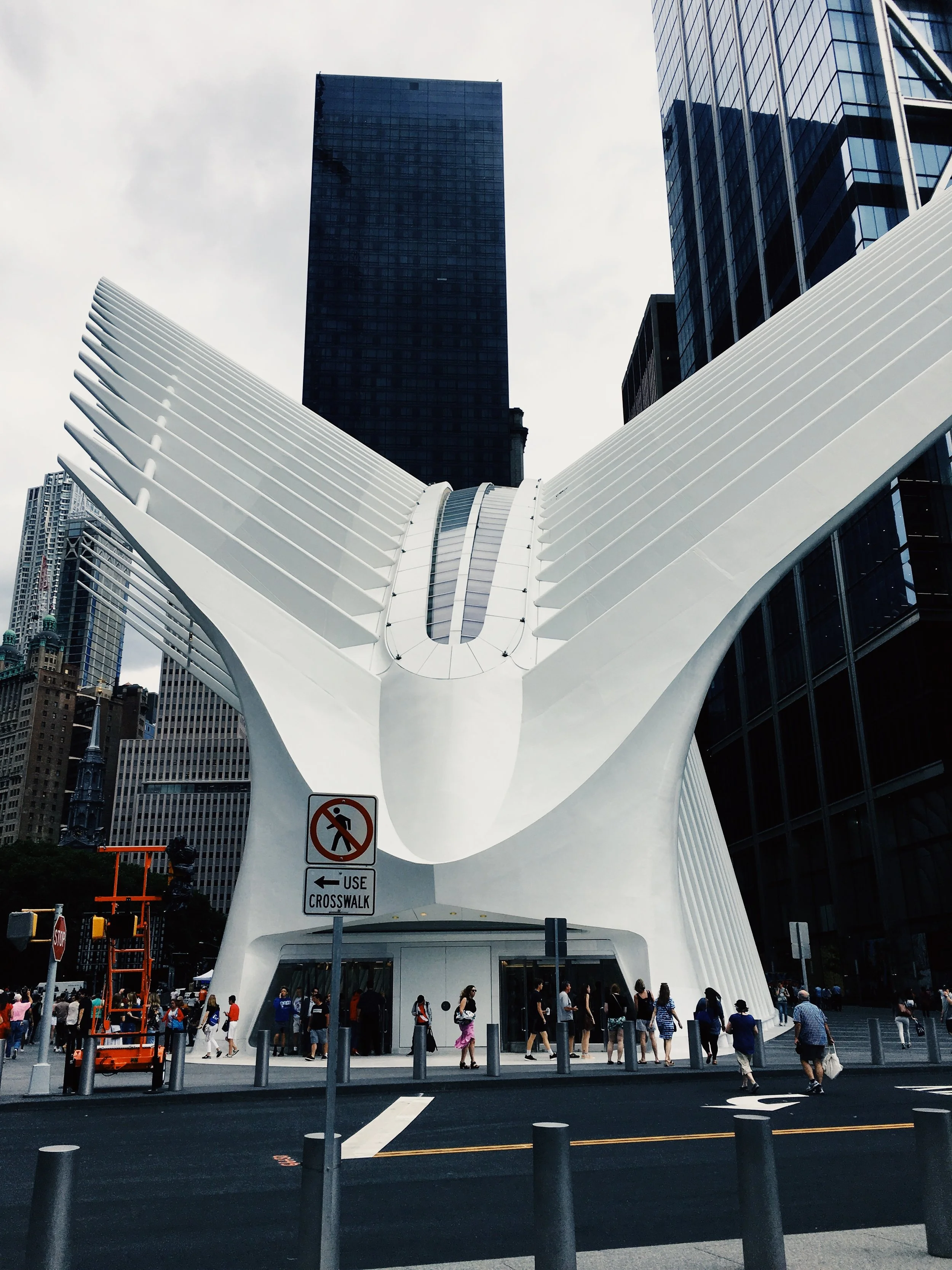 The Oculus