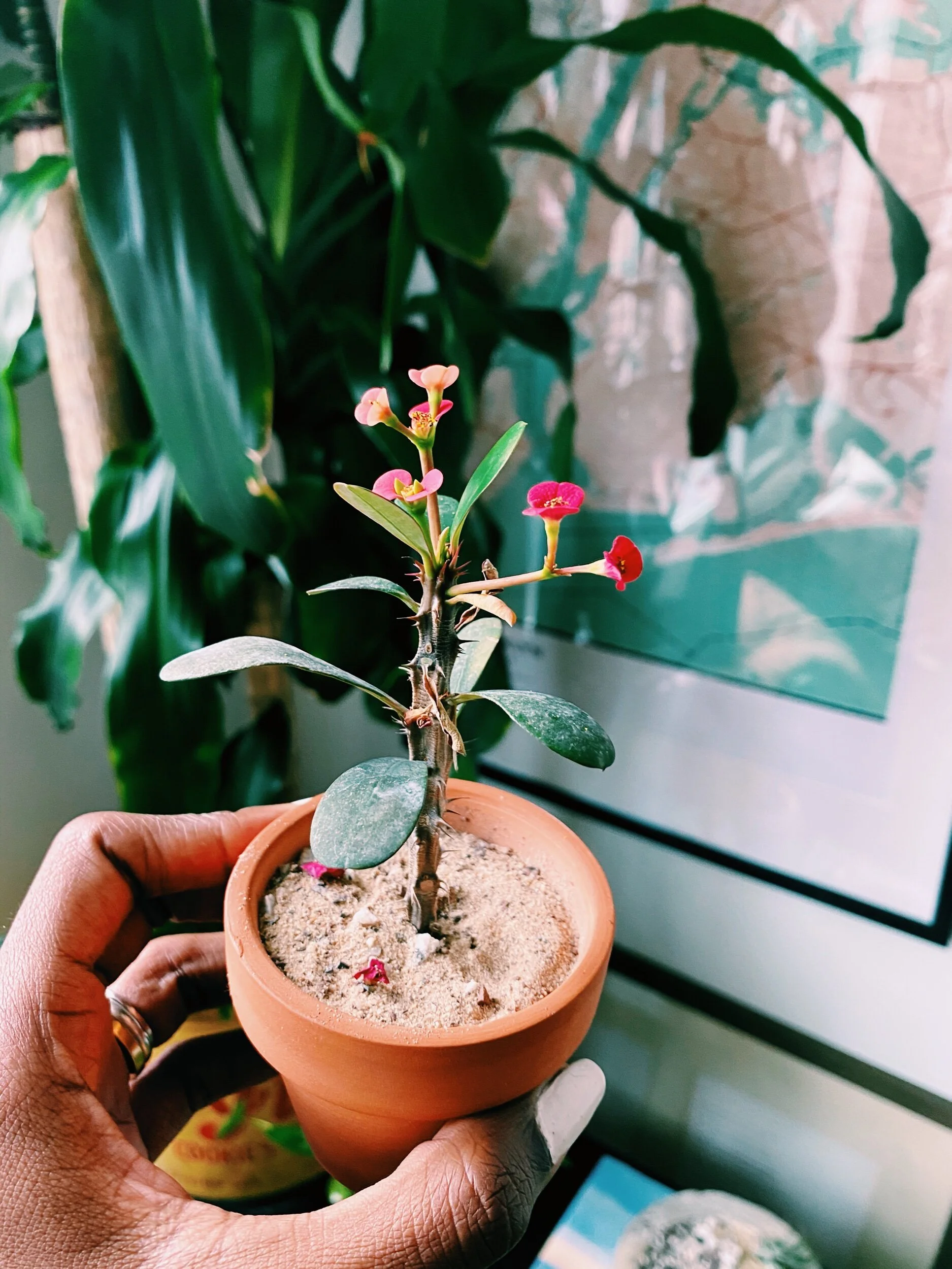 14 Affirmations to speak protection over our country and global community