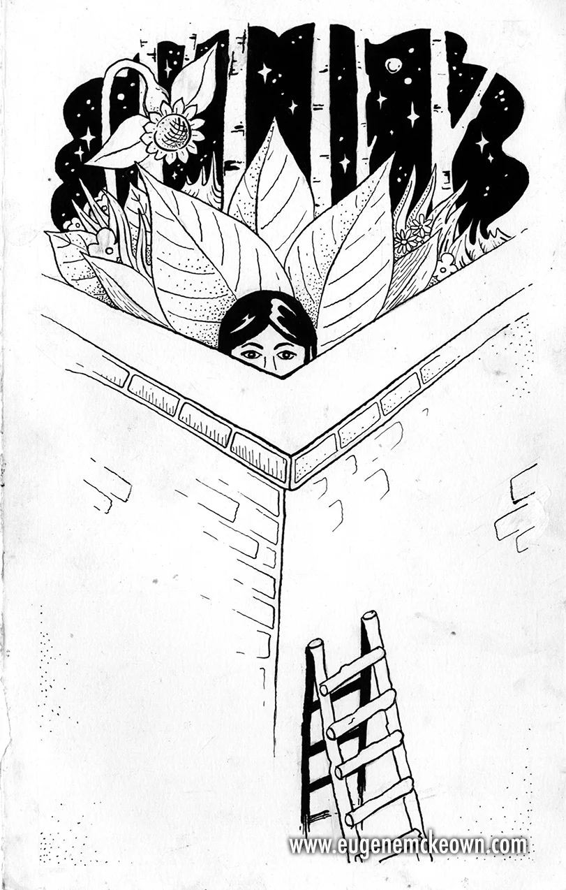 Ladder1_web.jpg