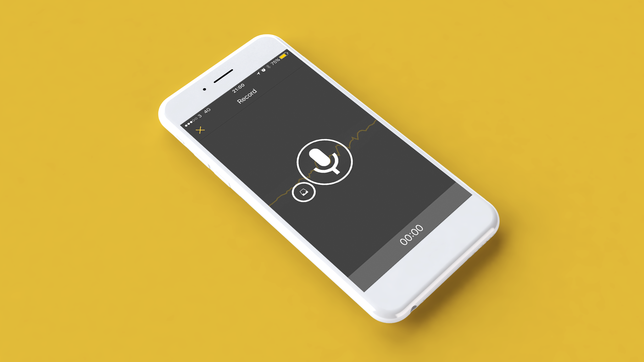 Yellow banner - record page.jpg