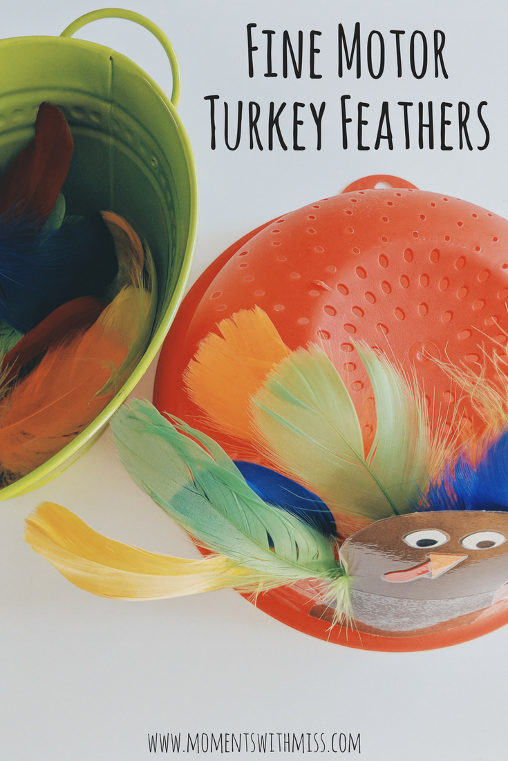 Turkey Feathers in a Strainer fine motor activity for toddlers www.momentswithmiss.com 3.png
