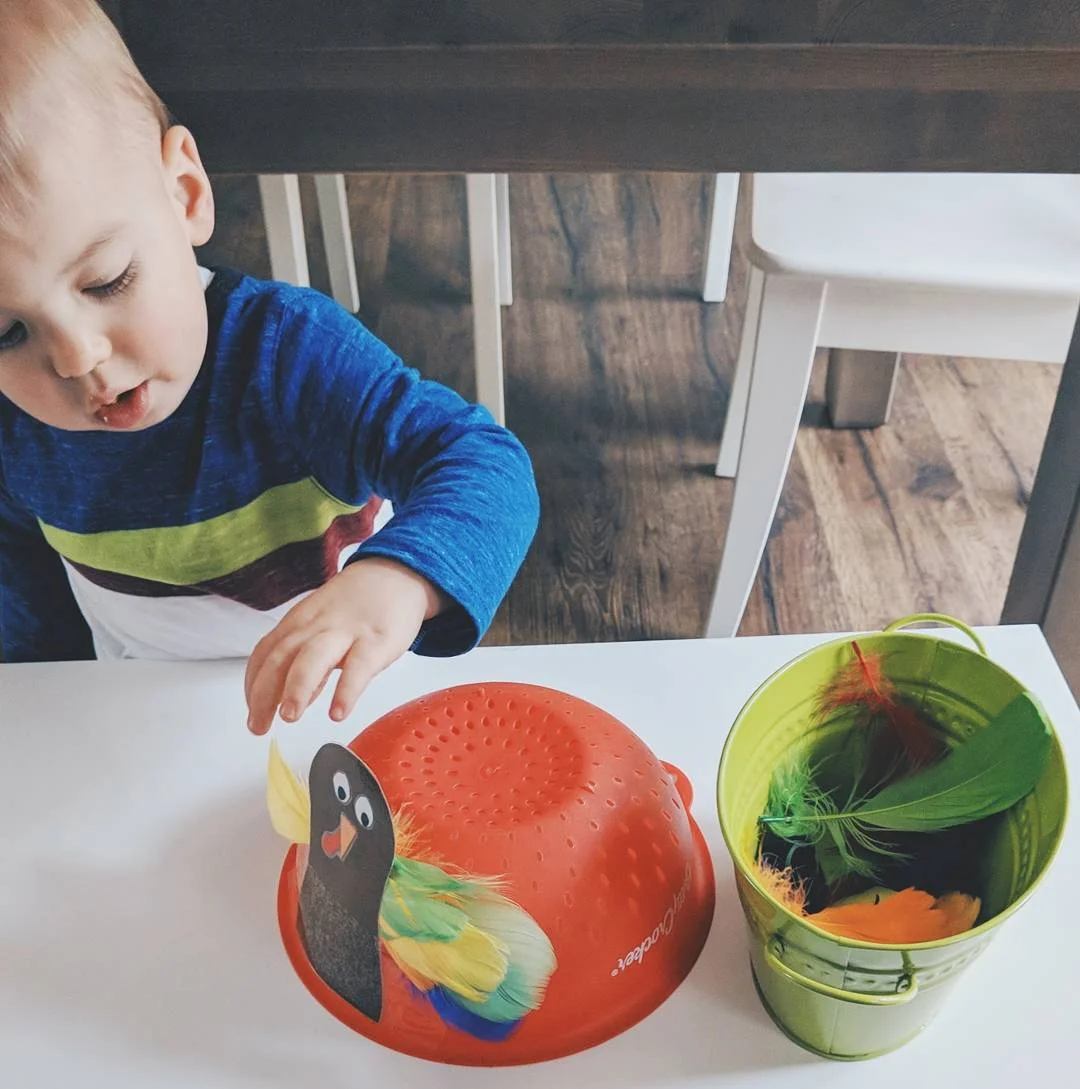 Turkey Feathers in a Strainer fine motor activity for toddlers www.momentswithmiss.com 2.jpg