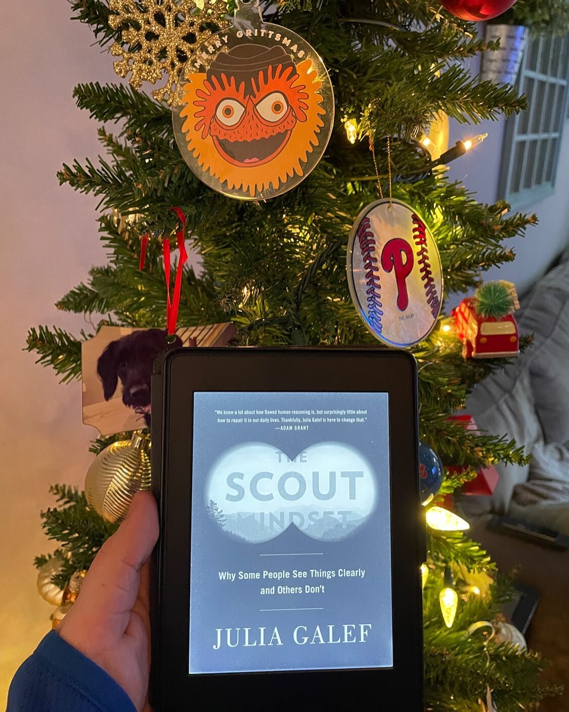 The Scout Mindset is a perspective we could all use now. The motivation to see things as they are, not as you wish they were. In scout mindset, there&rsquo;s no such thing as a &ldquo;threat&rdquo; to your beliefs. If you find out you were wrong abou