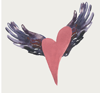 Itchy Ears and Perimenopause: Castor Oil, Skin Changes, and What Finally Fed My Skin