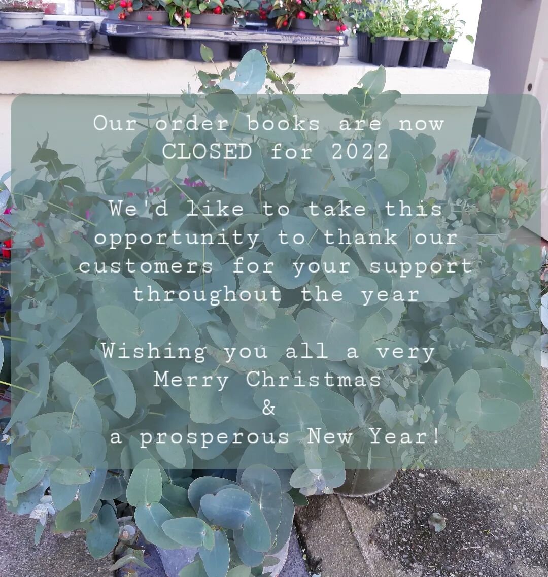 Thank you so much! Our order books are now CLOSED for 2022

Wishing all our customers a very Merry Christmas &amp; a prosperous New Year from all at the Village Florist 🎄🎉🌟