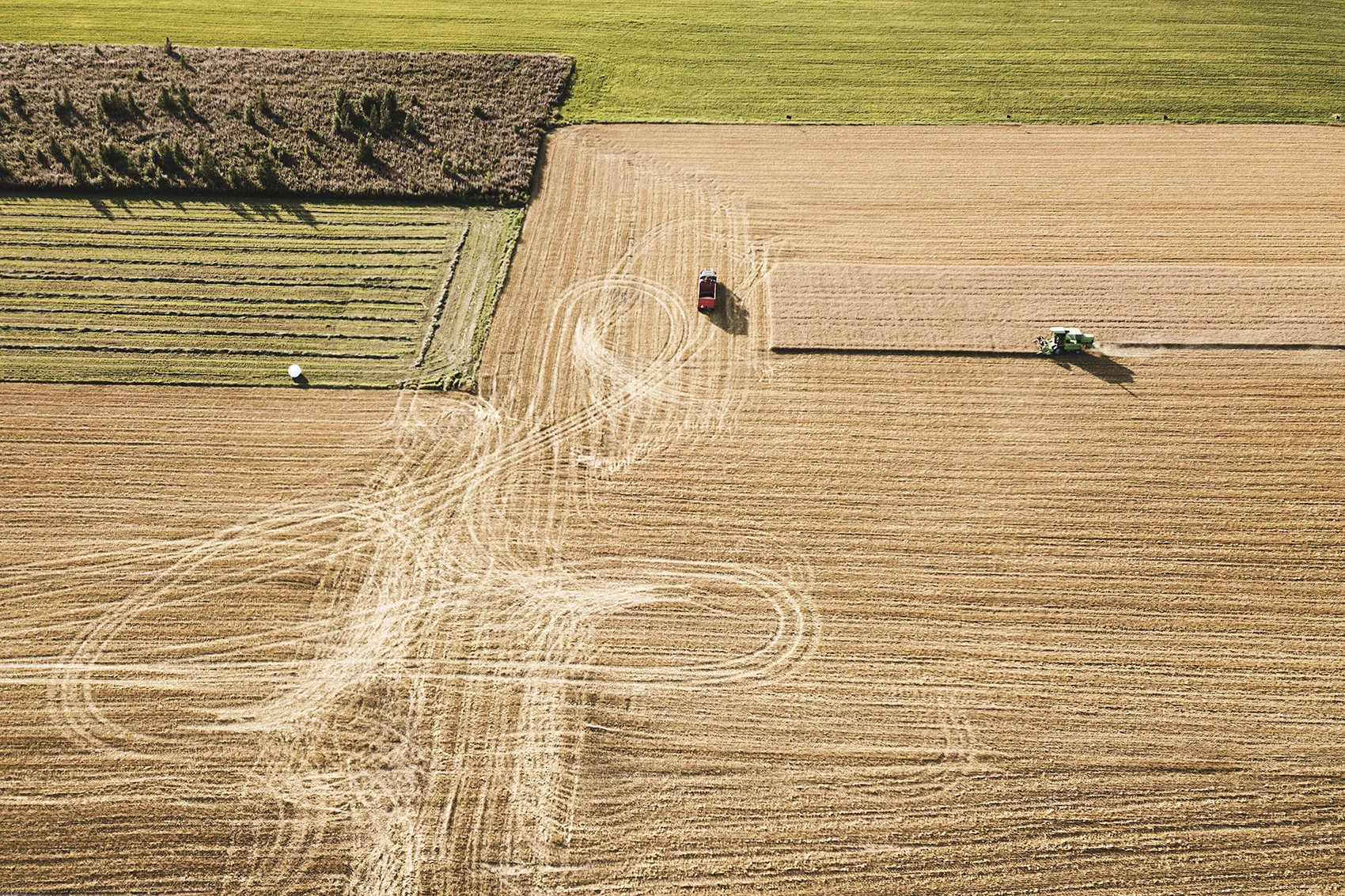 DJI_0175.jpg