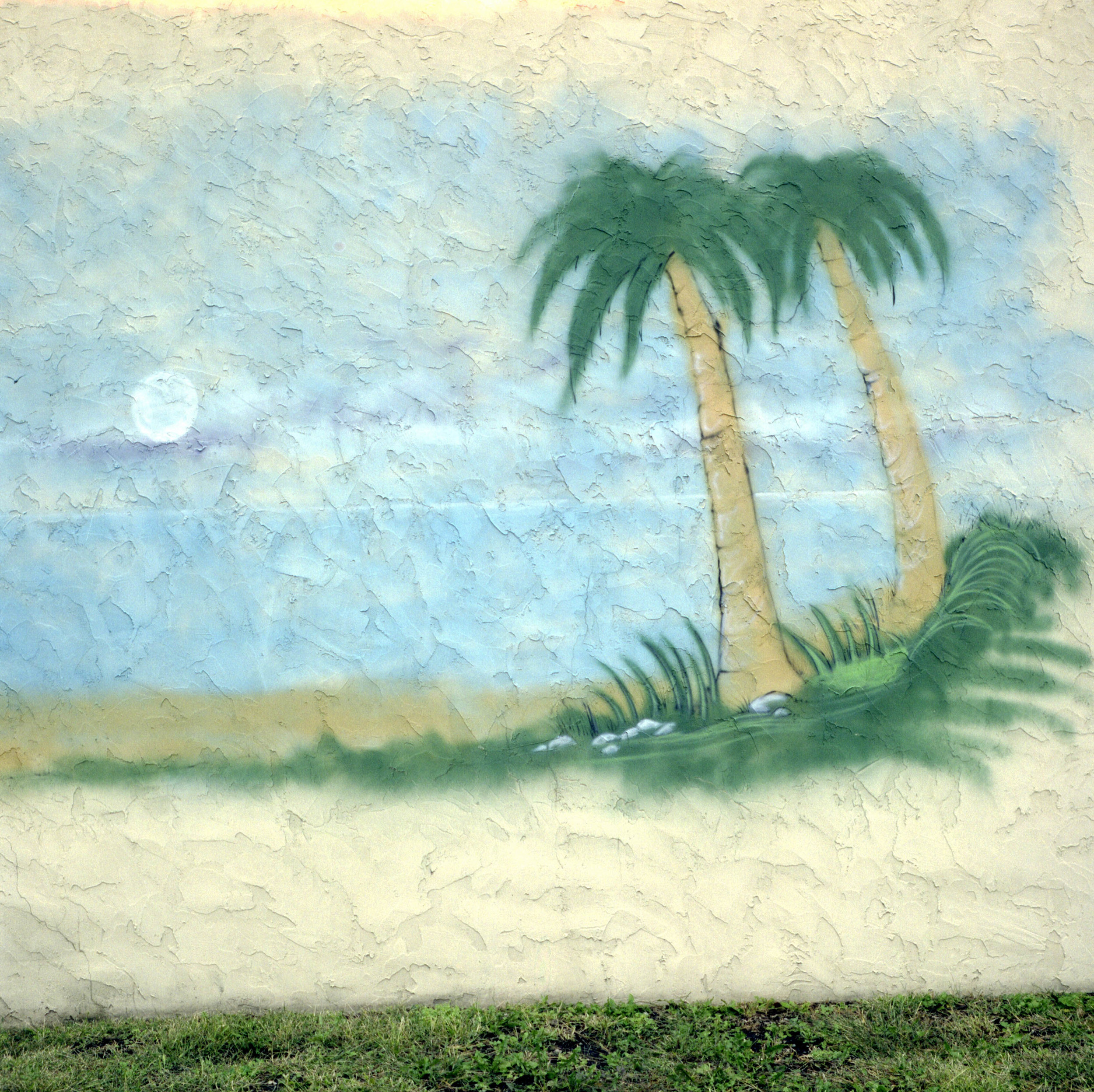 YMAT-056.palm_mural_for_site.jpg