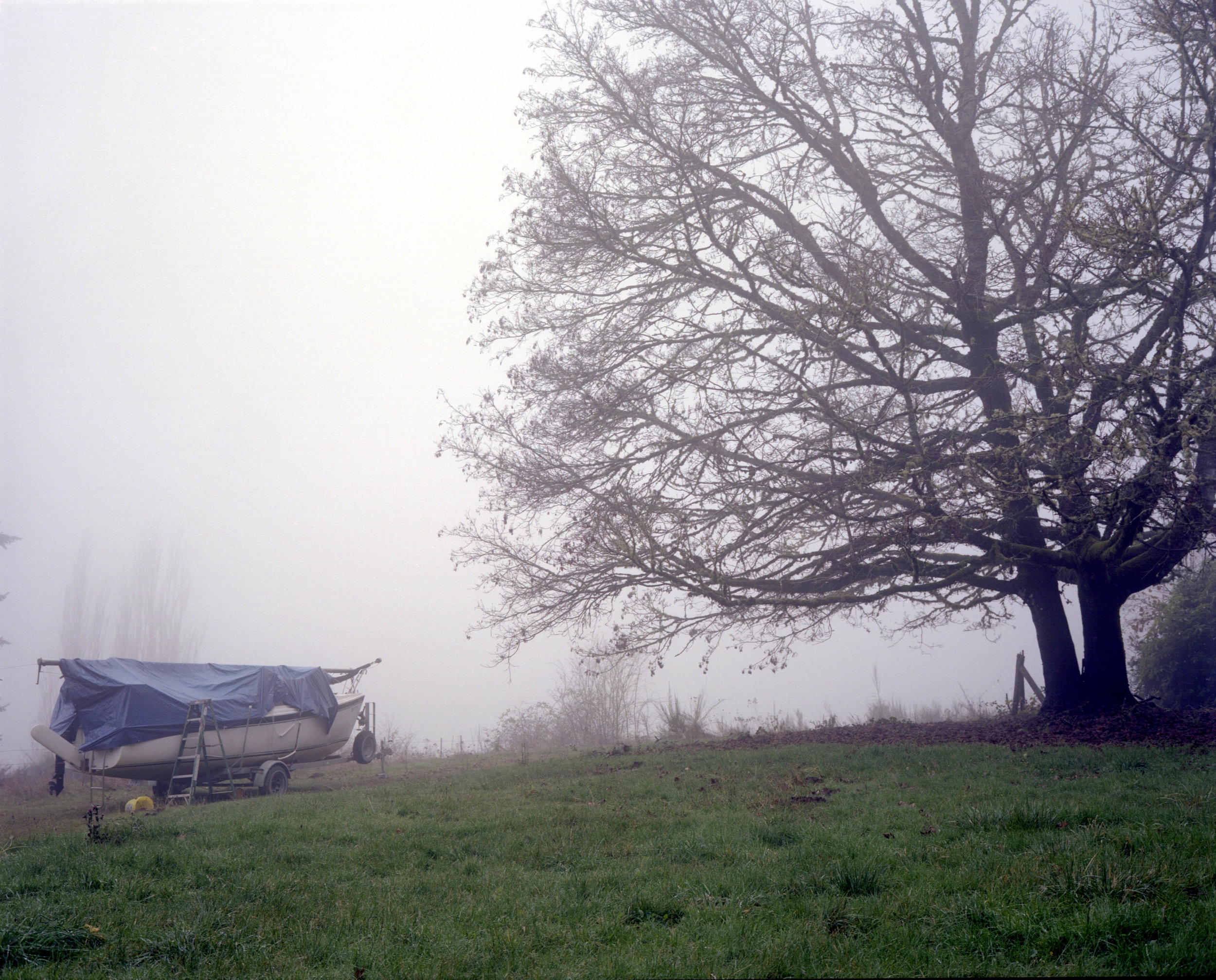 PM-051.pdx.tree_boat_fog.jpg
