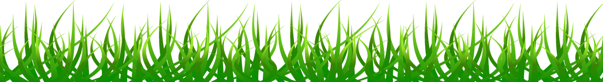 BETTER-GRASS.png
