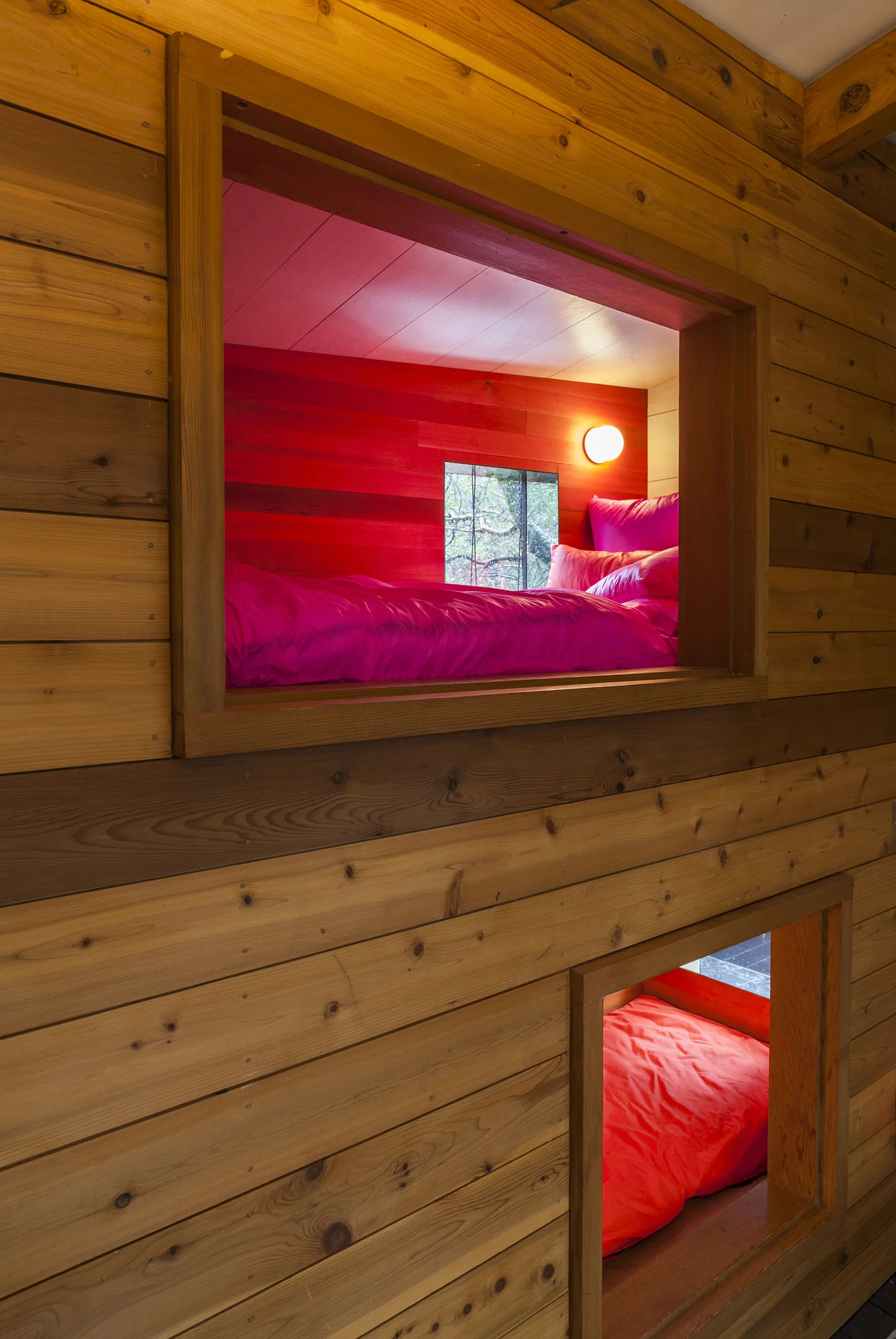 bunk04.jpg