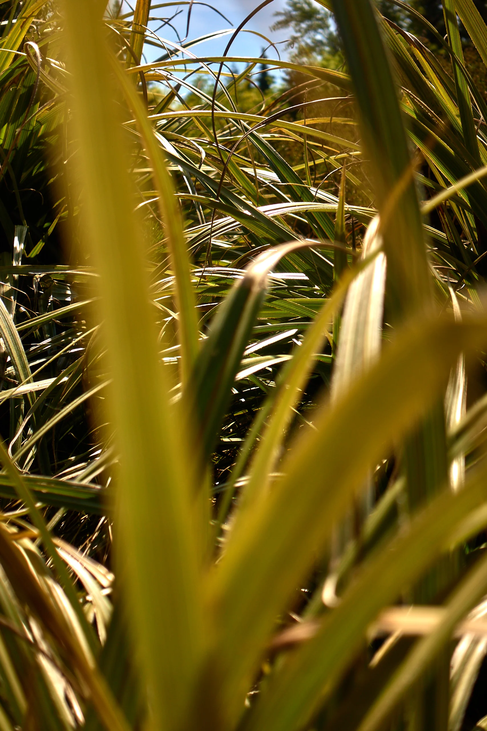 _DSC0728 1.jpg