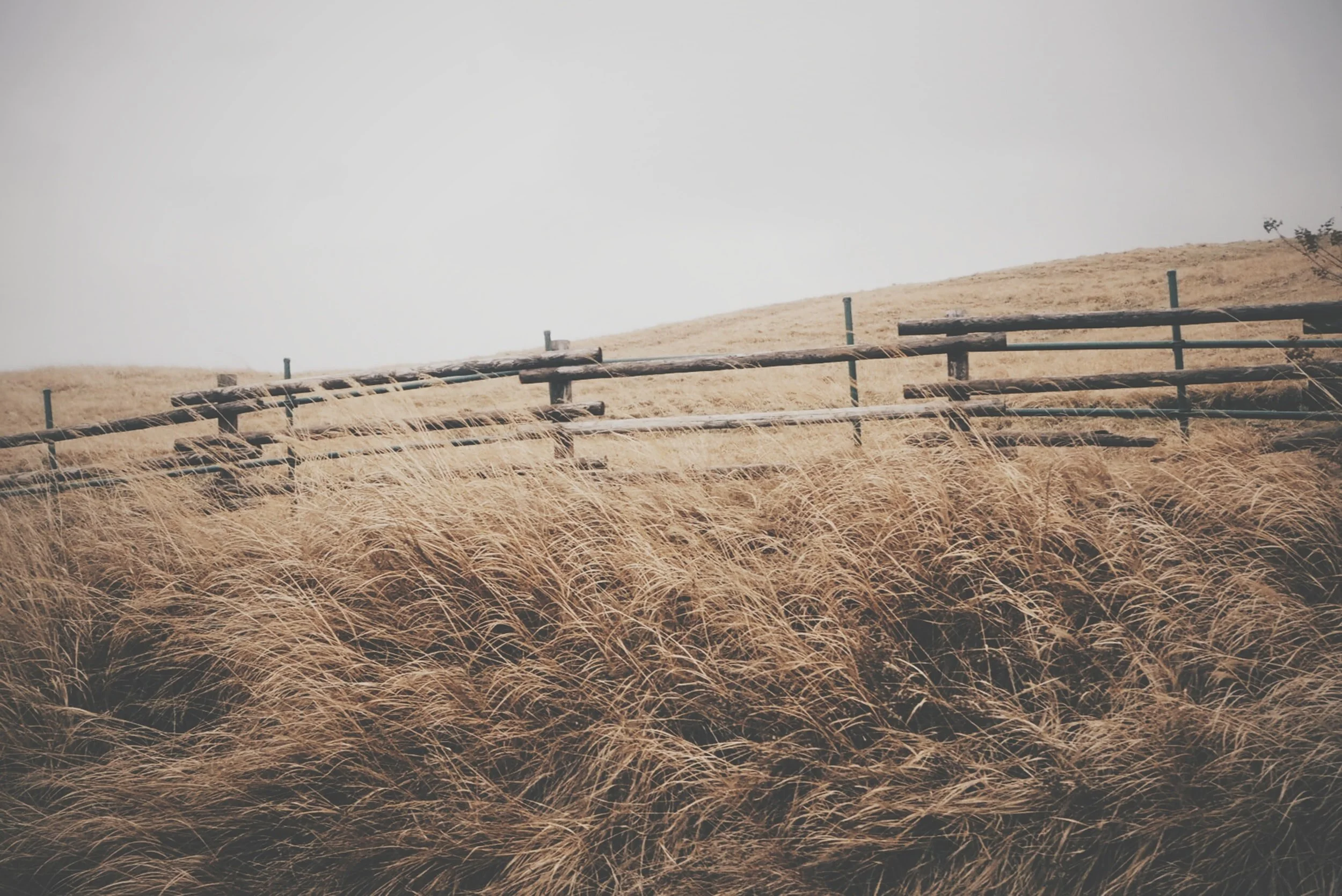 4 Strategies for Leaders to Think More Critically