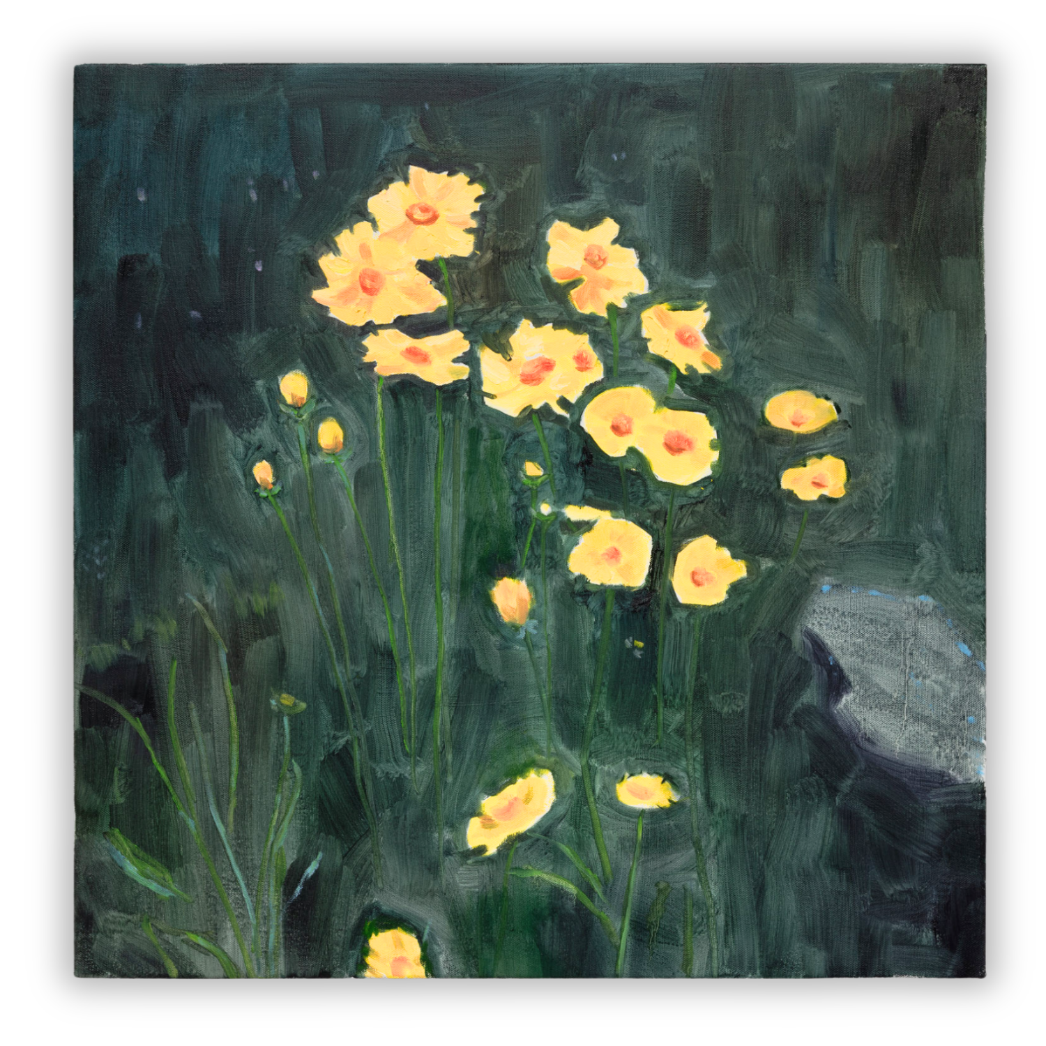 BUTTERCUPS