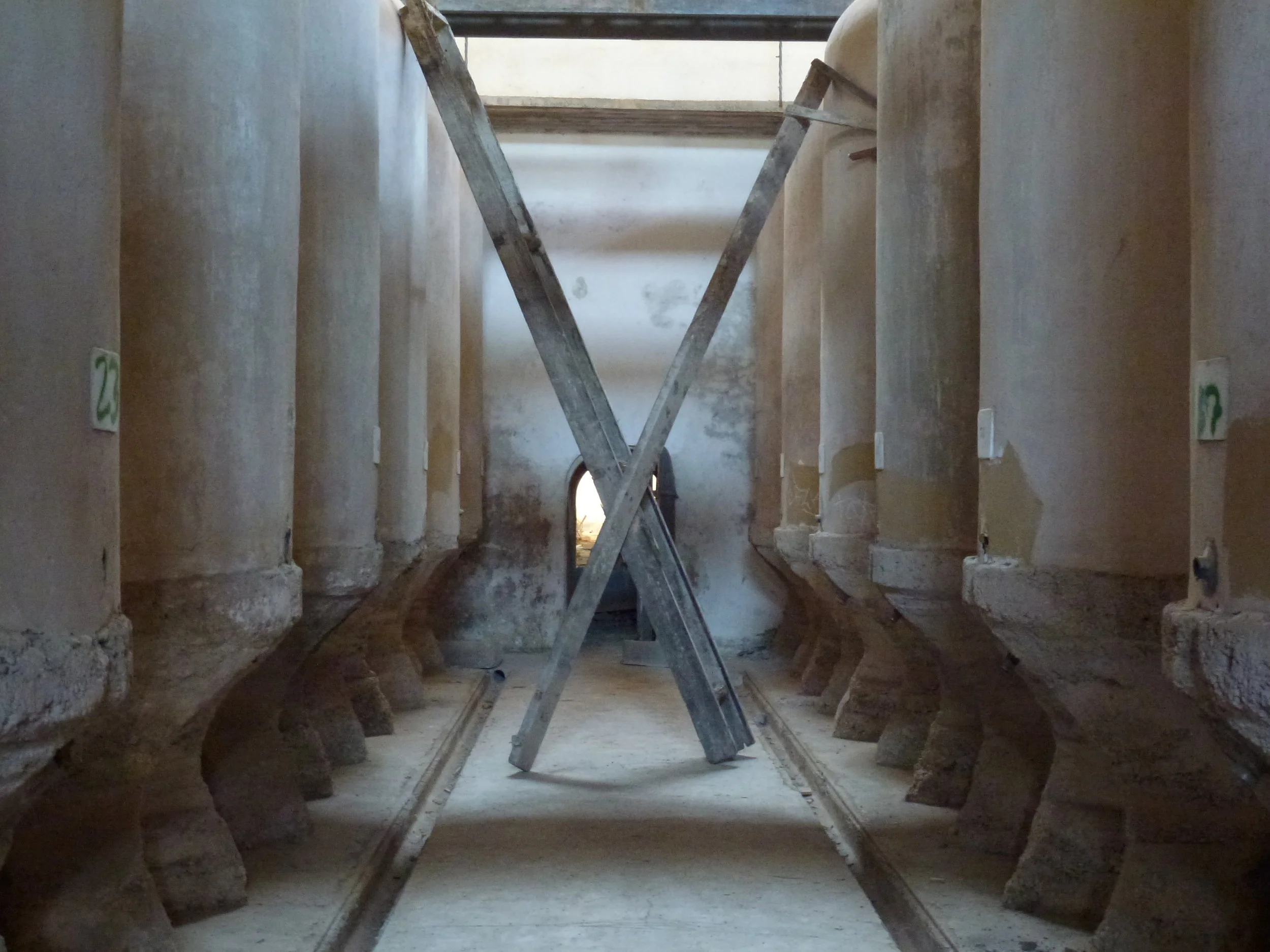P1010250.JPG
