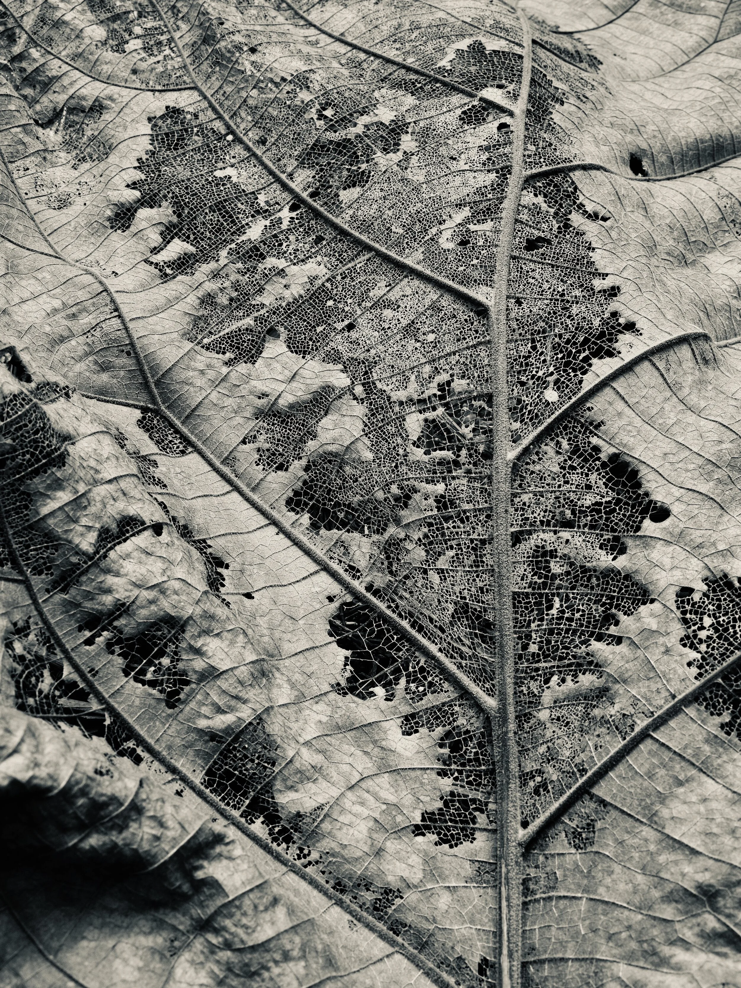 P3195490.JPG