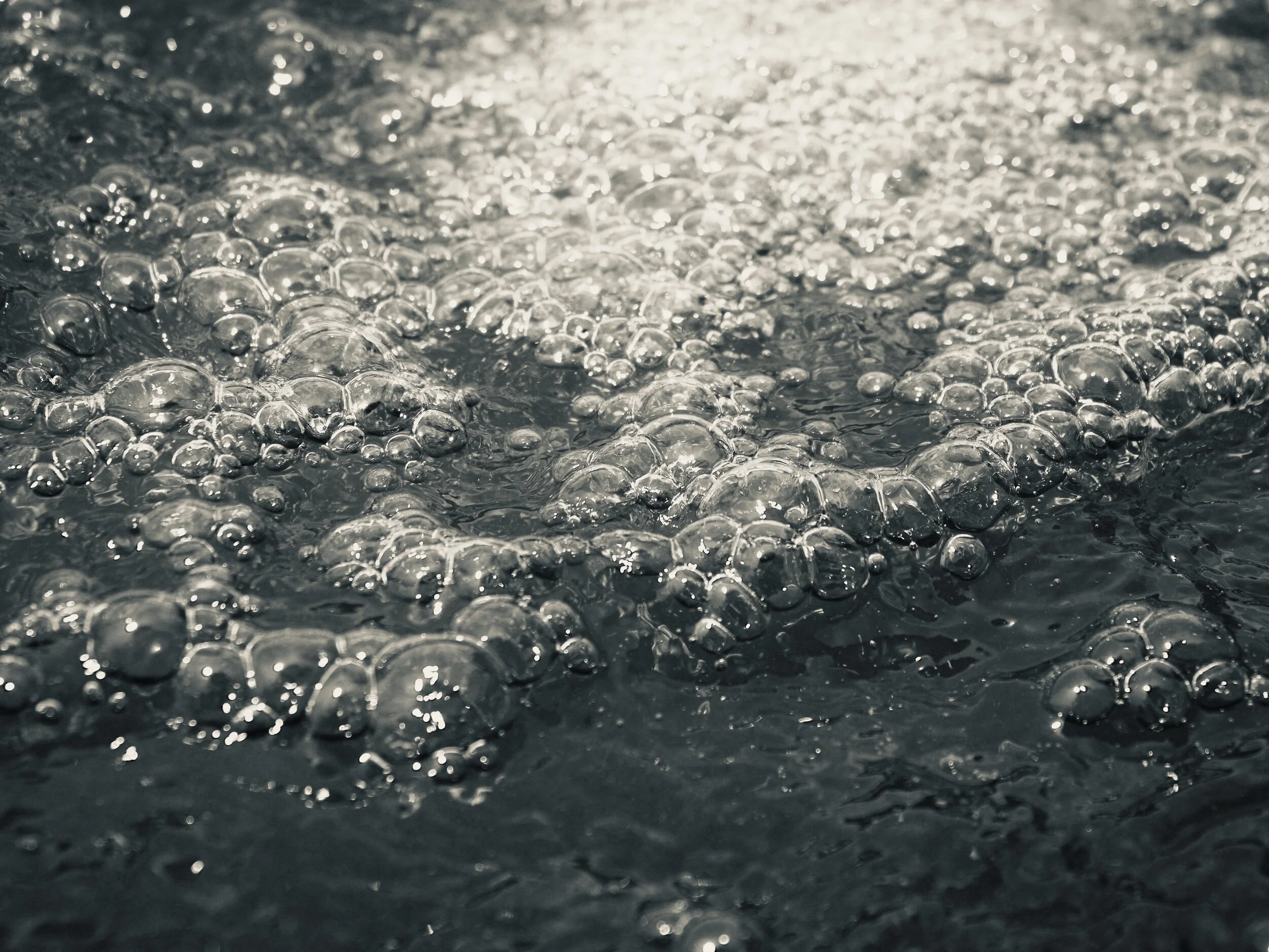 P3195613.JPG