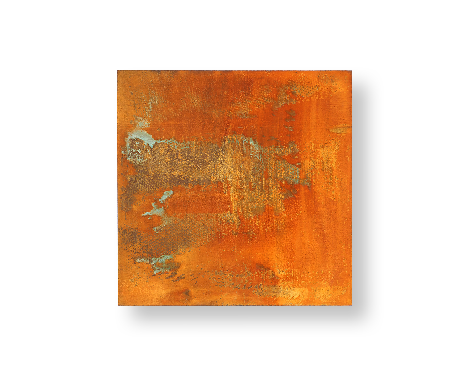 IMG_7277.PNG