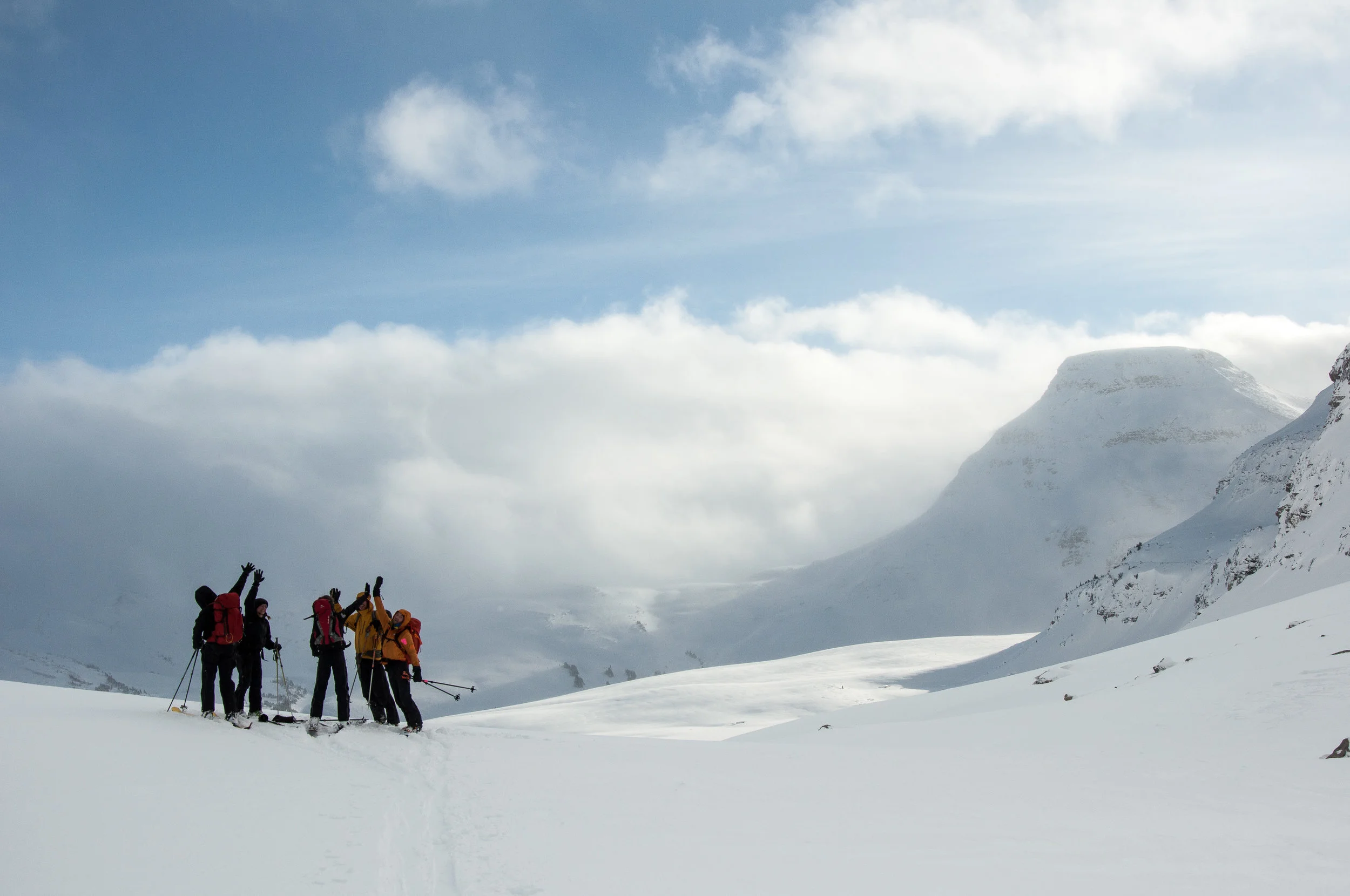 _DSC8110.jpg